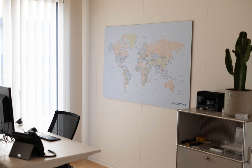 Datapunctum Expertise